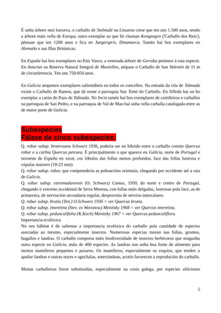 É unha árbore moi lonxeva, o carballo de Stelmužė na Lituania crese que ten uns 1.500 anos, sendo
a árbore máis vella de Europa; outro exemplar ao que lle chaman Kongeegen ('Carballo dos Reis'),
pénsase que ten 1200 anos e fica en Jaegerspris, Dinamarca. Tamén hai bos exemplares en
Alemaña e nas Illas Británicas.
En España hai bos exemplares no País Vasco, a venerada árbore de Gernika pertence á esta especie.
En Asturias na Reserva Natural Integral de Muniellos, atópase o Carballo de San Valentín de 11 m
de circunferencia. Ten uns 750-850 anos.
En Galicia atopamos exemplares salientábeis en todos os concellos. Na entrada da vila de Taboada
existe o Carballo de Ramos, que dá nome á parroquia San Tomé do Carballo. En Silleda hai un bo
exemplar a carón do Pazo de Taboada. No Incio tamén hai bos exemplares de castiñeiros e carballos
na parroquia de San Pedro, e na parroquia de Val de Mao hai unha vella carballa catalogada entre as
de maior porte de Galicia.
Subespecies
Fálase de cinco subespecies:
Q. robur subsp. broteroana Schwarz 1936, podería ser un híbrido entre o carballo común Quercus
robur e a carbia Quercus petraea. É principalmente o que aparece en Galicia, norte de Portugal e
noroeste de España en xeral, cos lóbulos das follas menos profundos, face das follas lustrosa e
cúpulas maiores (18-23 mm).
Q. robur subsp. robur, que comprendería as poboacións orientais, chegando por occidente até a raia
de Galicia.
Q. robur subsp. estremadurensis (O. Schwarz) Camus, 1950, do norte e centro de Portugal,
chegando ó extremo occidental de Serra Morena, con follas máis delgadas, lustrosas pola face, as de
primavera, de nerviación secundaria regular, desprovista de nervios intercalares.
Q. robur subsp. brutia (Ten.) O.Schwarz 1936 = ver Quercus brutia.
Q. robur subsp. imeretina (Stev. ex Woronow) Menitsky 1968 = ver Quercus imeretina.
Q. robur subsp. pedunculifolia (K.Koch) Menitsky 1967 = ver Quercus pedunculiflora.
Importancia ecolóxica
No seu hábitat é de salientar a importancia ecolóxica do carballo pola cantidade de especies
asociadas ao mesmo, especialmente insectos. Numerosas especias moran nas follas, gromos,
bugallos e landras. O carballo comporta máis biodiversidade de insectos herbívoros que ningunha
outra especie en Galicia, máis de 400 especies. As landras son unha boa fonte de alimento para
moitos mamíferos pequenos e paxaros. Os mamíferos, especialmente os esquíos, que tenden a
apañar landras e outras noces e agochalas, soterrándoas, acotío favorecen a reprodución do carballo.
Moitas carballeiras foron substituídas, especialmente na costa galega, por especies alóctonas
5
 