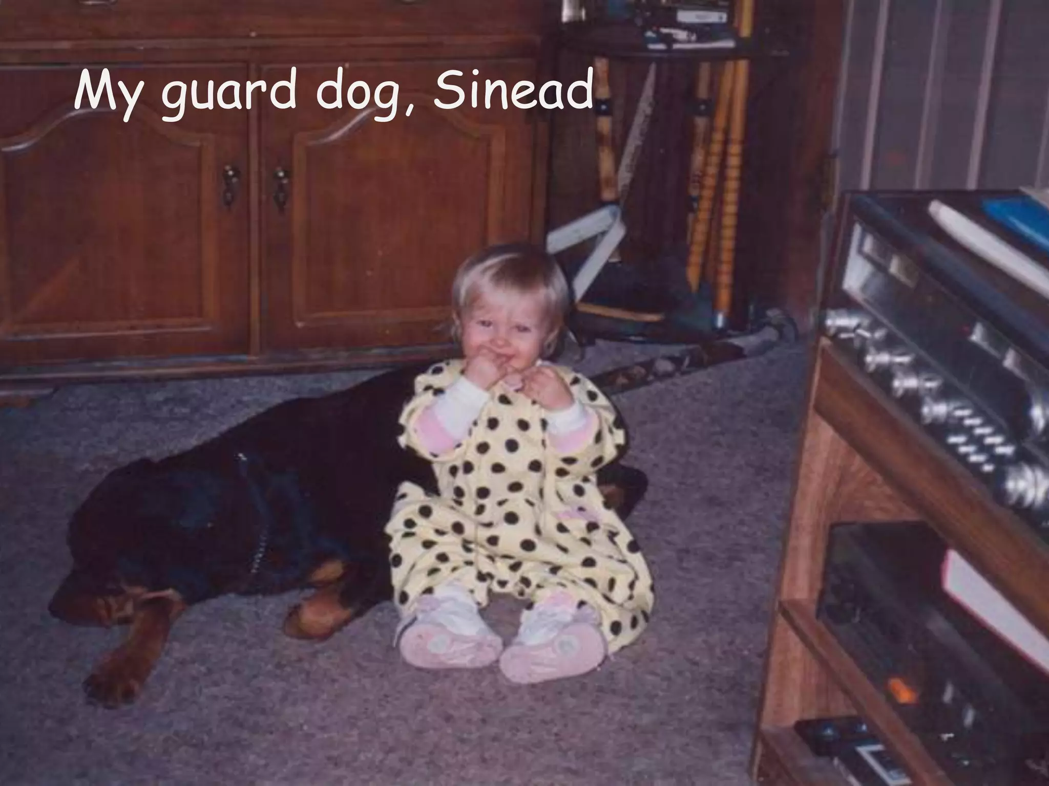 My guard dog, Sinead