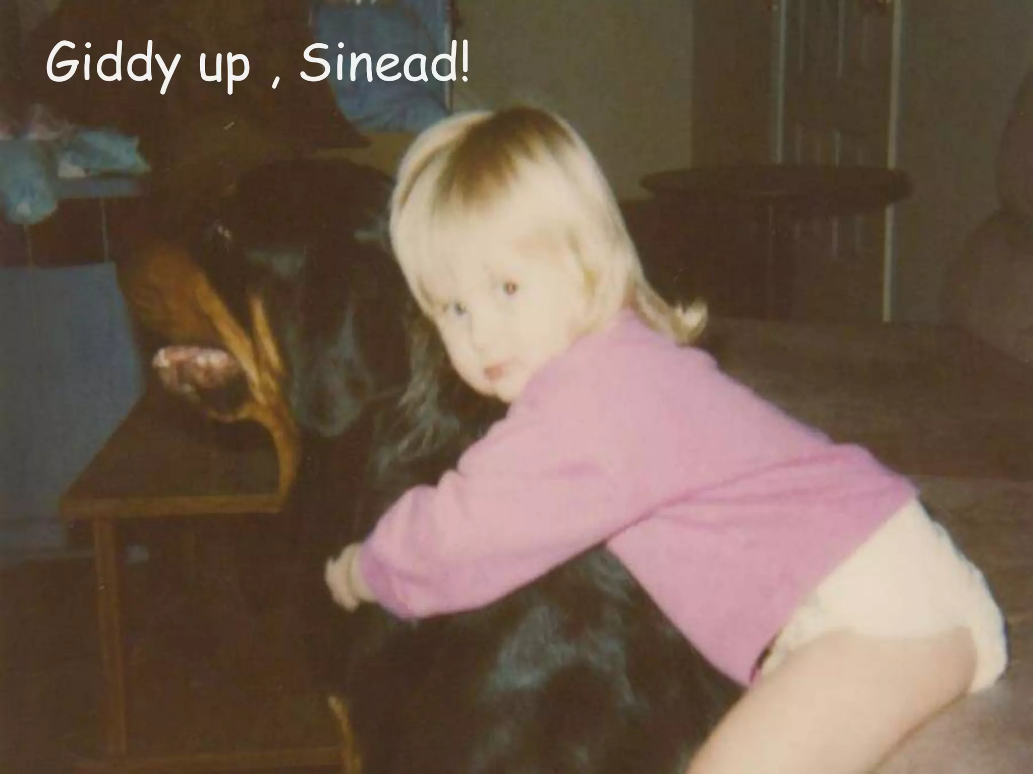 Giddy up , Sinead!