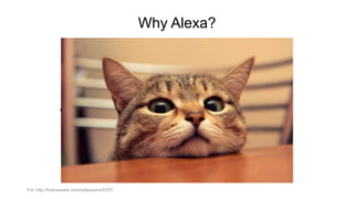 Why Alexa?
• Jakis obrazek
Fot. http://hdw.eweb4.com/wallpapers/4257/
 