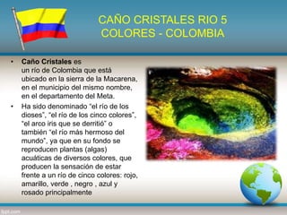 CAÑO CRISTALES RIO 5
COLORES - COLOMBIA
• Caño Cristales es
un río de Colombia que está
ubicado en la sierra de la Macarena,
en el municipio del mismo nombre,
en el departamento del Meta.
• Ha sido denominado “el río de los
dioses”, “el río de los cinco colores”,
“el arco iris que se derritió” o
también “el río más hermoso del
mundo”, ya que en su fondo se
reproducen plantas (algas)
acuáticas de diversos colores, que
producen la sensación de estar
frente a un río de cinco colores: rojo,
amarillo, verde , negro , azul y
rosado principalmente
 