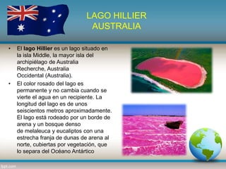 LAGO HILLIER
AUSTRALIA
• El lago Hillier es un lago situado en
la isla Middle, la mayor isla del
archipiélago de Australia
Recherche, Australia
Occidental (Australia).
• El color rosado del lago es
permanente y no cambia cuando se
vierte el agua en un recipiente. La
longitud del lago es de unos
seiscientos metros aproximadamente.
El lago está rodeado por un borde de
arena y un bosque denso
de melaleuca y eucaliptos con una
estrecha franja de dunas de arena al
norte, cubiertas por vegetación, que
lo separa del Océano Antártico
 