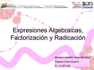 Expresiones Algebraicas,
Factorización y Radicación
 