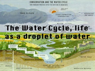 The Water Cycle, life as a droplet of water 