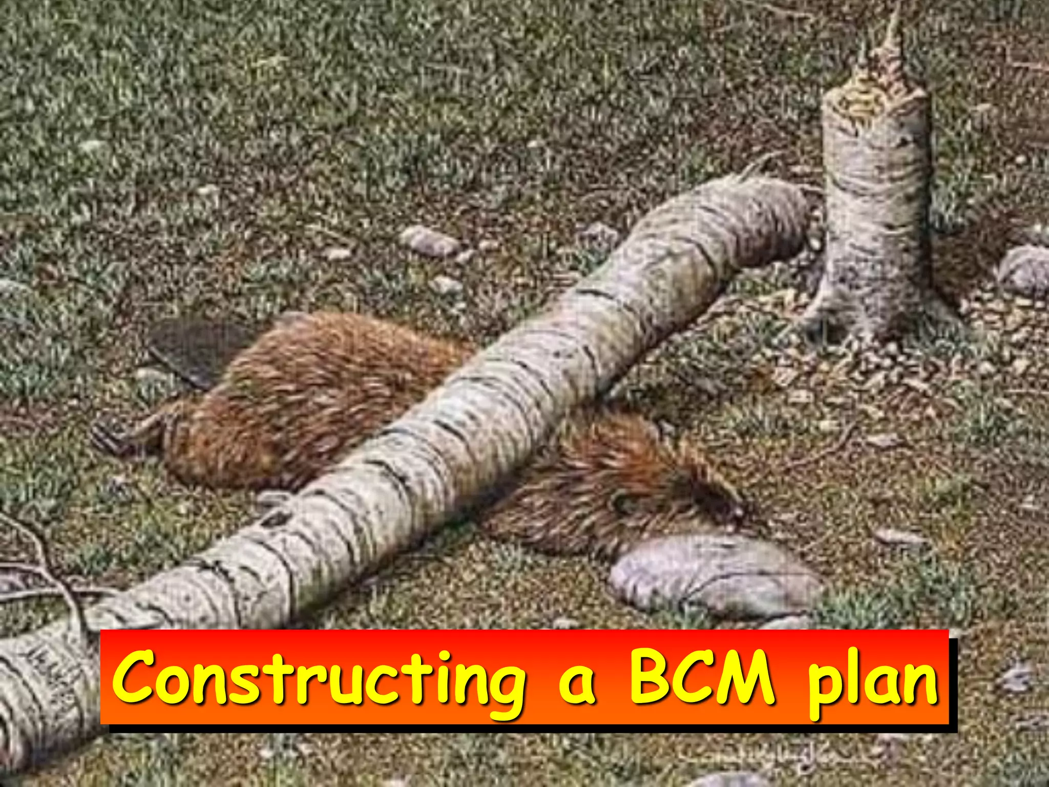 Constructing a BCM plan
 