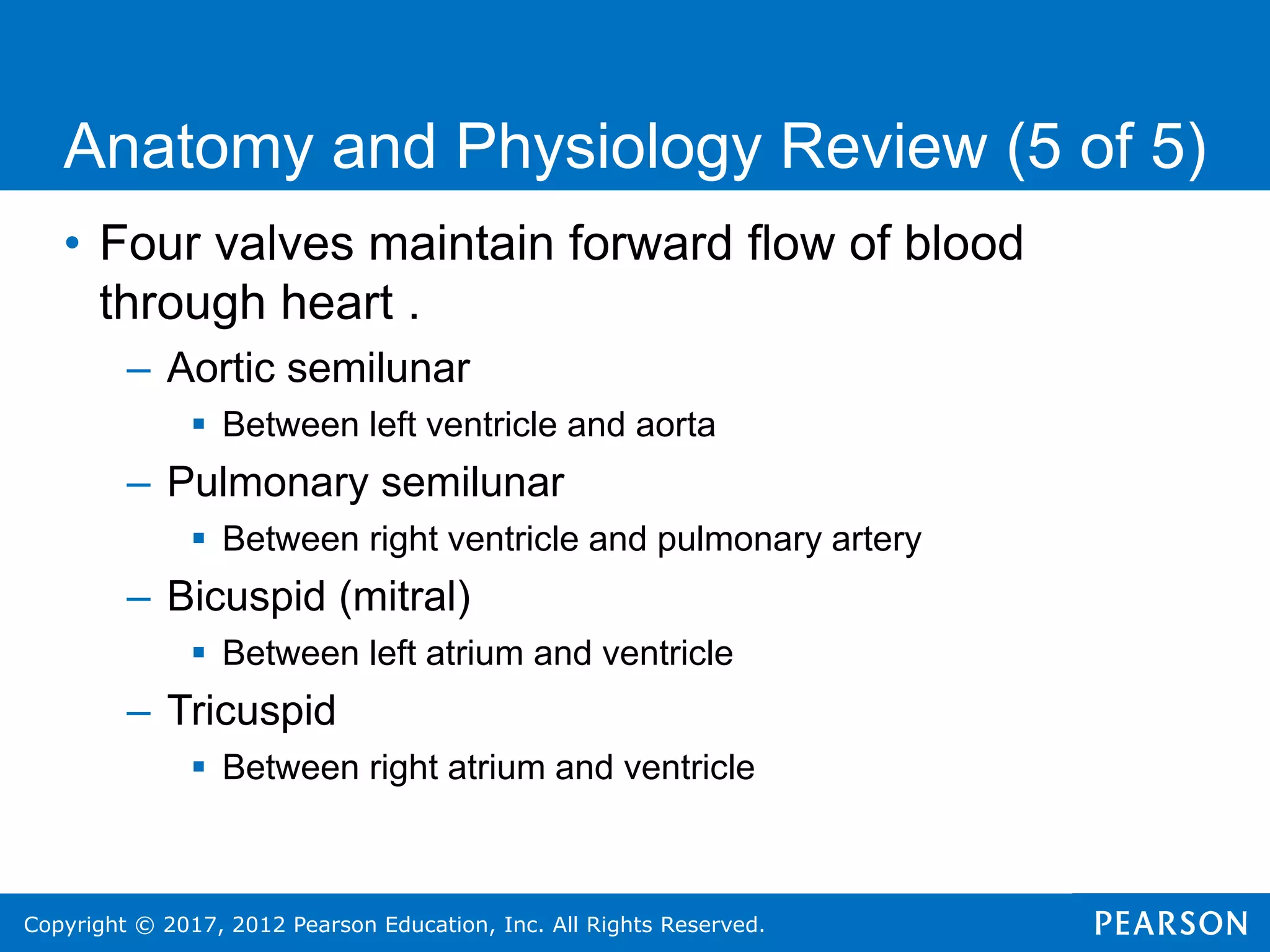 Copyright © 2017, 2012 Pearson Education, Inc. All Rights Reserved.
• Four valves maintain forward flow of blood
through heart .
– Aortic semilunar
 Between left ventricle and aorta
– Pulmonary semilunar
 Between right ventricle and pulmonary artery
– Bicuspid (mitral)
 Between left atrium and ventricle
– Tricuspid
 Between right atrium and ventricle
Anatomy and Physiology Review (5 of 5)
 