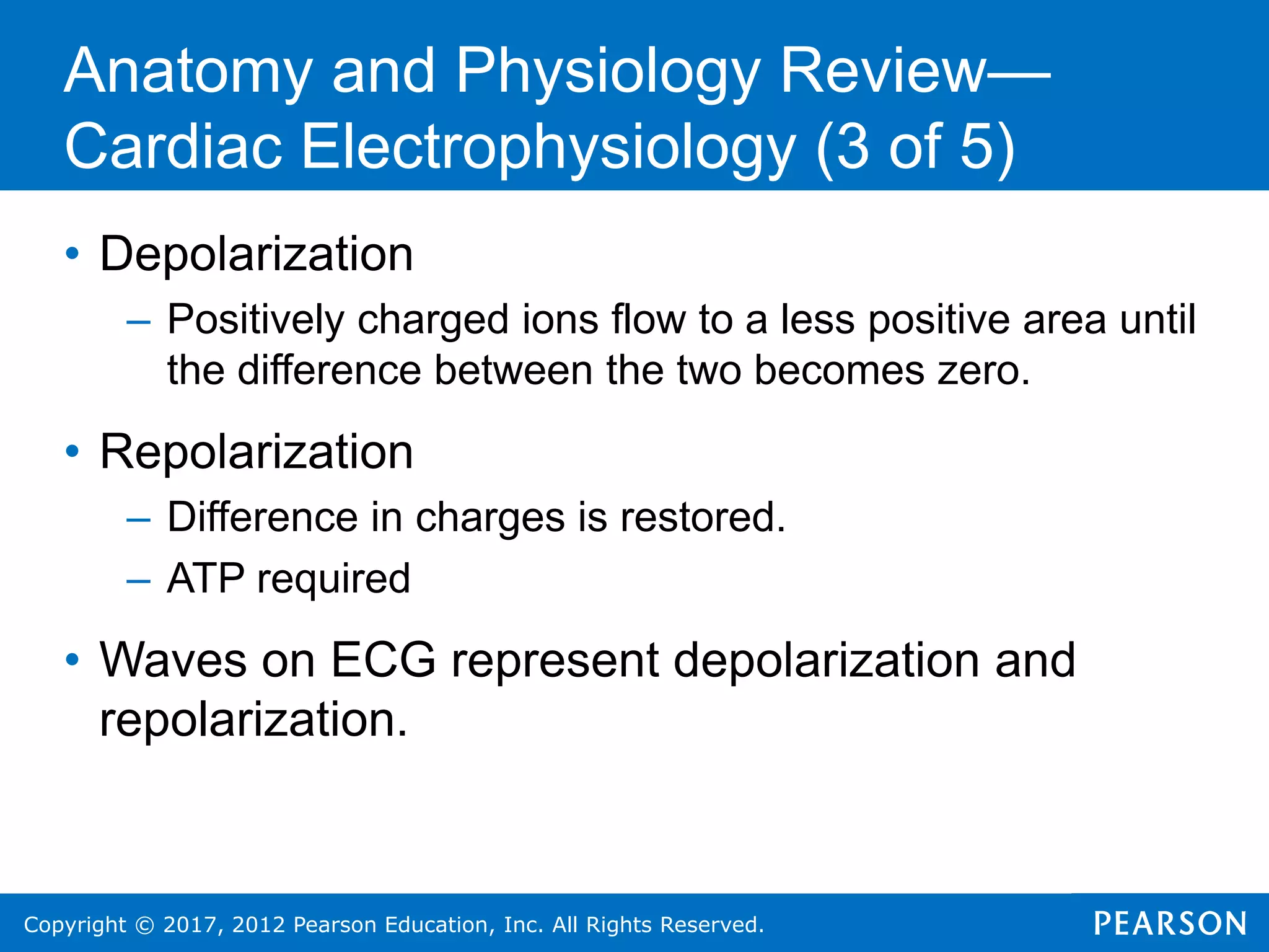 Copyright © 2017, 2012 Pearson Education, Inc. All Rights Reserved.
Anatomy and Physiology Review—
Cardiac Electrophysiology (3 of 5)
• Depolarization
– Positively charged ions flow to a less positive area until
the difference between the two becomes zero.
• Repolarization
– Difference in charges is restored.
– ATP required
• Waves on ECG represent depolarization and
repolarization.
 