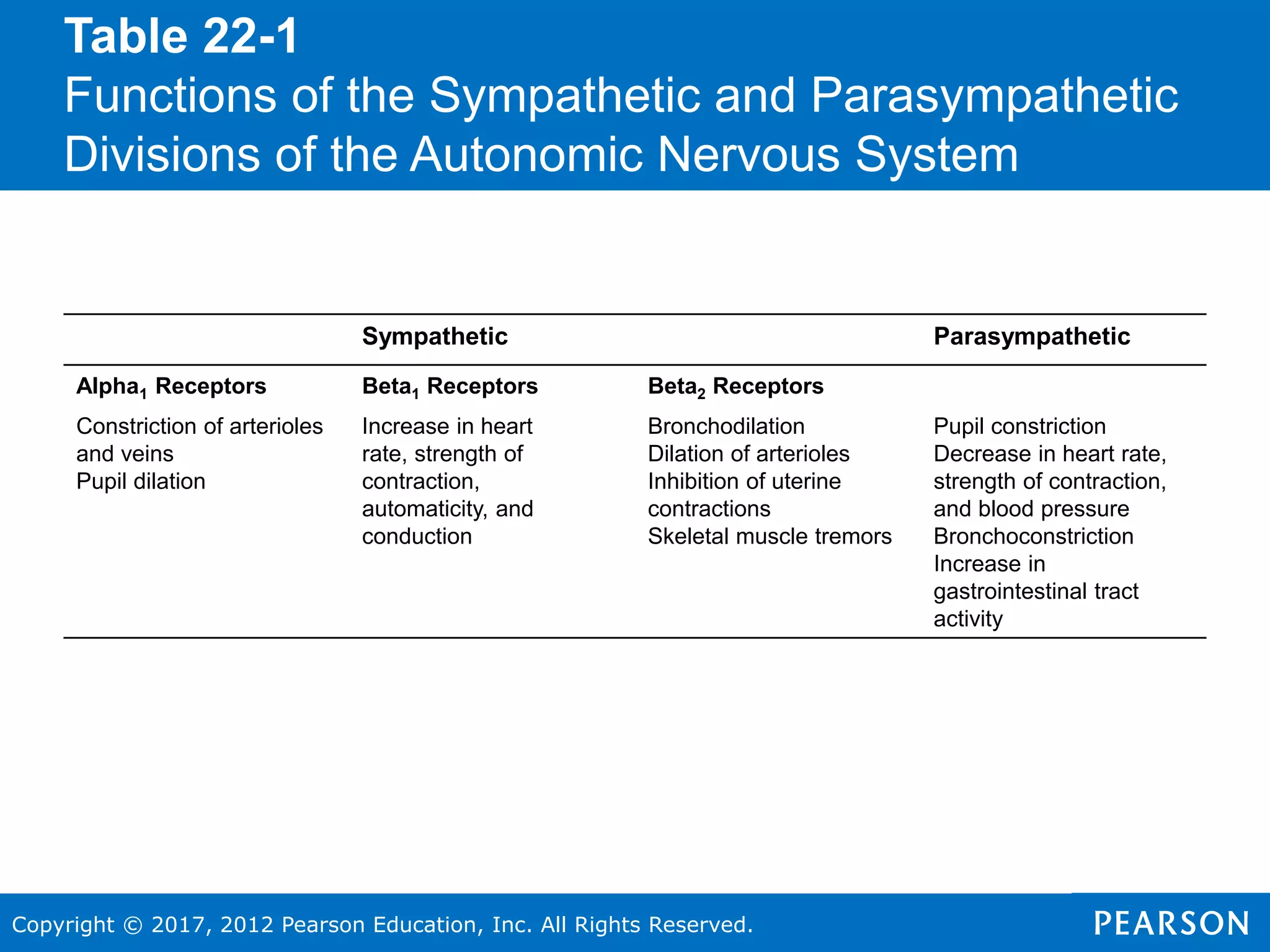 Copyright © 2017, 2012 Pearson Education, Inc. All Rights Reserved.
Table 22-1
Functions of the Sympathetic and Parasympathetic
Divisions of the Autonomic Nervous System
Sympathetic Parasympathetic
Alpha1 Receptors Beta1 Receptors Beta2 Receptors
Constriction of arterioles
and veins
Pupil dilation
Increase in heart
rate, strength of
contraction,
automaticity, and
conduction
Bronchodilation
Dilation of arterioles
Inhibition of uterine
contractions
Skeletal muscle tremors
Pupil constriction
Decrease in heart rate,
strength of contraction,
and blood pressure
Bronchoconstriction
Increase in
gastrointestinal tract
activity
 