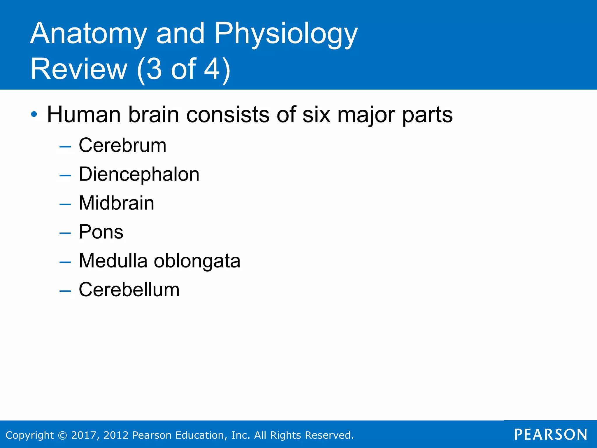 Copyright © 2017, 2012 Pearson Education, Inc. All Rights Reserved.
• Human brain consists of six major parts
– Cerebrum
– Diencephalon
– Midbrain
– Pons
– Medulla oblongata
– Cerebellum
Anatomy and Physiology
Review (3 of 4)
 