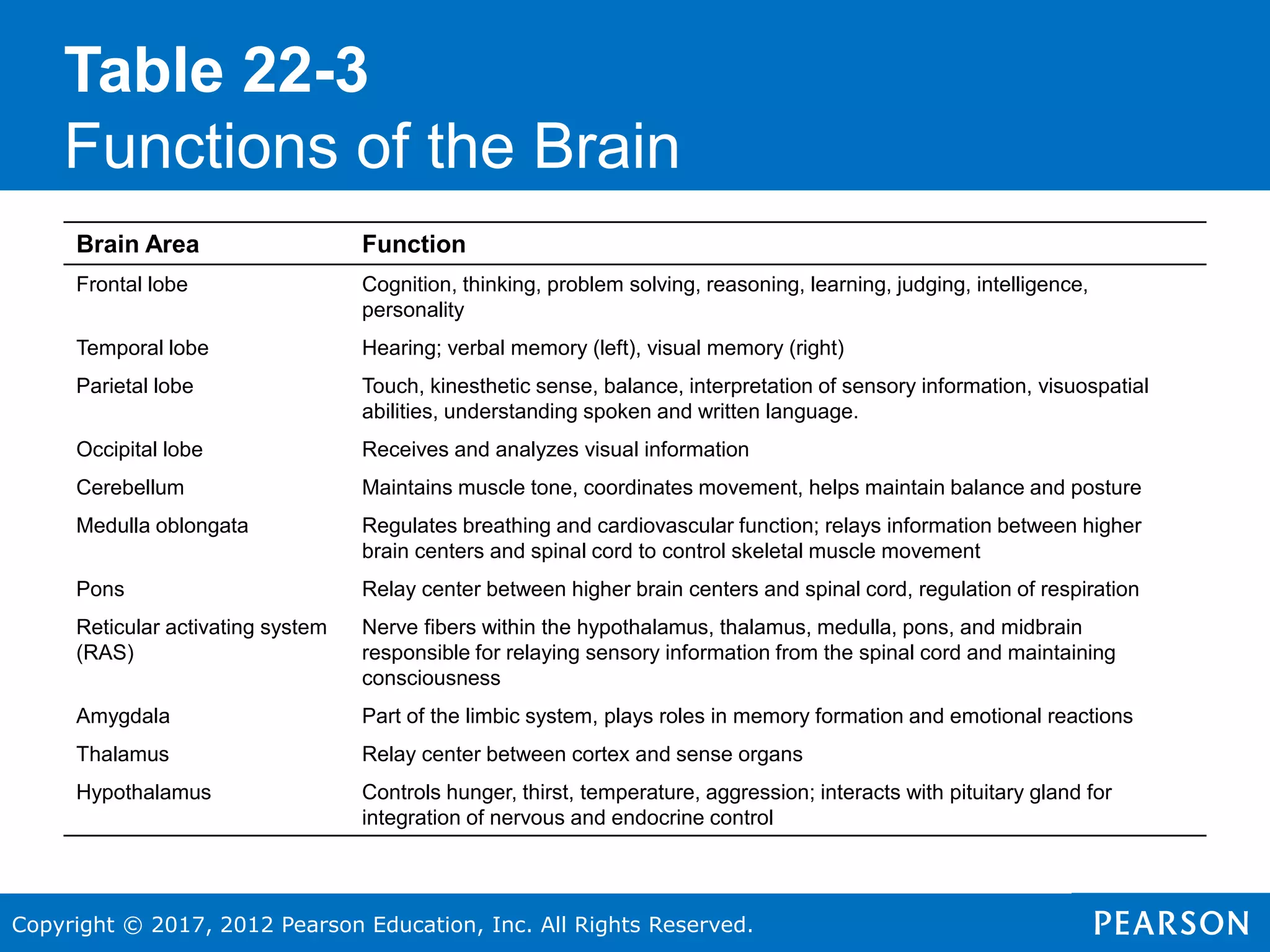 Copyright © 2017, 2012 Pearson Education, Inc. All Rights Reserved.
Table 22-3
Functions of the Brain
Brain Area Function
Frontal lobe Cognition, thinking, problem solving, reasoning, learning, judging, intelligence,
personality
Temporal lobe Hearing; verbal memory (left), visual memory (right)
Parietal lobe Touch, kinesthetic sense, balance, interpretation of sensory information, visuospatial
abilities, understanding spoken and written language.
Occipital lobe Receives and analyzes visual information
Cerebellum Maintains muscle tone, coordinates movement, helps maintain balance and posture
Medulla oblongata Regulates breathing and cardiovascular function; relays information between higher
brain centers and spinal cord to control skeletal muscle movement
Pons Relay center between higher brain centers and spinal cord, regulation of respiration
Reticular activating system
(RAS)
Nerve fibers within the hypothalamus, thalamus, medulla, pons, and midbrain
responsible for relaying sensory information from the spinal cord and maintaining
consciousness
Amygdala Part of the limbic system, plays roles in memory formation and emotional reactions
Thalamus Relay center between cortex and sense organs
Hypothalamus Controls hunger, thirst, temperature, aggression; interacts with pituitary gland for
integration of nervous and endocrine control
 