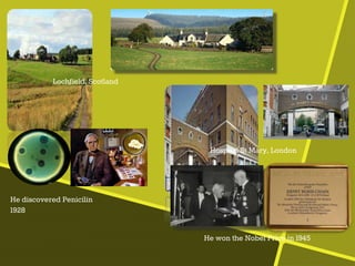 Lochfield, Scotland
Hospital St Mary, London
He discovered Penicilin
1928
He won the Nobel Price in 1945
 