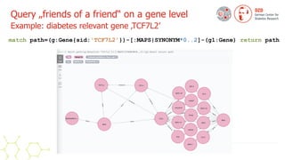 Query „friends of a friend“ on a gene level
 
Example: diabetes relevant gene ‚TCF7L2’
match path=(g:Gene{sid:'TCF7L2'})-[:MAPS|SYNONYM*0..2]-(g1:Gene) return path
 