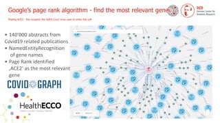 Google’s page rank algorithm - find the most relevant gene
 
finding ACE2 - the receptor the SARS-Cov2 virus uses to enter the cell
• 140’000 abstracts from


Covid19 related publications


• NamedEntityRecognition
 
of gene names


• Page Rank identified
 
‚ACE2‘ as the most relevant
 
gene
 