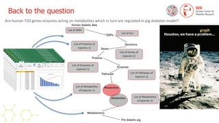 Back to the question
Are human T2D genes enzymes acting on metabolites which in turn are regulated in pig diabetes model?
Genomics
Human diabetic data
Genes
SNPs
Proteins
Enzymes
Pathways
Metabolites
Metabolomics
Pre diabetic pig
Metabolites
List of SNPs
List of Genes of
(species 1)
List of Proteins of
(species 1)
List of loci
List of Enzymes of
(species 1)
List of Pathways of
(species 1)
List of Metabolites
of (species 1)
List of Metabolites
of (species 2)
graph
 