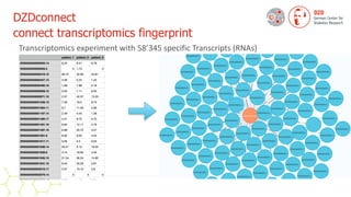 DZDconnect


connect transcriptomics fingerprint
Transcriptomics experiment with 58’345 specific Transcripts (RNAs)
 