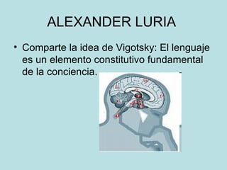 ALEXANDER LURIA  <ul><li>Comparte la idea de Vigotsky: El lenguaje es un elemento constitutivo fundamental de la concienci...