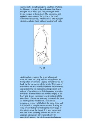 sacrospinalis muscle groups to lengthen. (Pulling,
in this case, is a physiological action based on a
thought, not a direct pull like you might do in
trying to open a stuck door). The answering and
opposite movement of the pelvis to the head
direction is necessary, otherwise it is like trying to
stretch an elastic band without holding both ends.




                        Fig 07



As the pelvis releases, the lower abdominal
muscles come into play and are strengthened by
being taken inward and slightly upward toward the
back by the movement of the pelvis. The tonus of
these muscles is extremely important because they
are responsible for maintaining the position and
release of the diaphragm. It is important to realize,
however, that these muscles lie very deeply in the
body and it is of enormous benefit to think of the
outer layer of muscles softening in toward the spine
as one begins to breathe out. This inward
movement begins right behind the pubic bone and
it is helpful to imagine the movement flowing not
only inward but upward along the inside edge of
the spine toward the throat. It is also paramount
that one avoid pumping oneself full of air. Too
great an air pressure or volume of air will
completely destroy the vital connection between
 