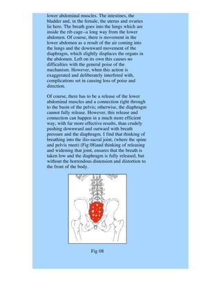 lower abdominal muscles. The intestines, the
bladder and, in the female, the uterus and ovaries
lie here. The breath goes into the lungs which are
inside the rib cage--a long way from the lower
abdomen. Of course, there is movement in the
lower abdomen as a result of the air coming into
the lungs and the downward movement of the
diaphragm, which slightly displaces the organs in
the abdomen. Left on its own this causes no
difficulties with the general poise of the
mechanism. However, when this action is
exaggerated and deliberately interfered with,
complications set in causing loss of poise and
direction.

Of course, there has to be a release of the lower
abdominal muscles and a connection right through
to the basin of the pelvis; otherwise, the diaphragm
cannot fully release. However, this release and
connection can happen in a much more efficient
way, with far more effective results, than crudely
pushing downward and outward with breath
pressure and the diaphragm. I find that thinking of
breathing into the ilio-sacral joint, (where the spine
and pelvis meet) (Fig 08)and thinking of releasing
and widening that joint, ensures that the breath is
taken low and the diaphragm is fully released, but
without the horrendous distension and distortion to
the front of the body.




                       Fig 08
 