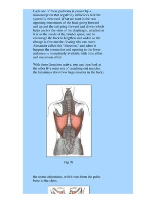 Each one of these problems is caused by a
misconception that negatively influences how the
system is then used. What we want is the two
opposing movements of the head going forward
and up and the tail going forward and down (which
helps anchor the stem of the diaphragm, attached as
it is on the inside of the lumber spine) and to
encourage the back to lengthen and widen so the
ribcage is free and the floating ribs can move.
Alexander called this "direction," and when it
happens the connection and opening to the lower
abdomen is immediately available with little effort
and maximum effect.

With these directions active, one can then look at
the other five main sets of breathing-out muscles:
the latissimus dorsi (two large muscles in the back),




                       Fig 09



the rectus abdominus, which runs from the pubic
bone to the chest,
 
