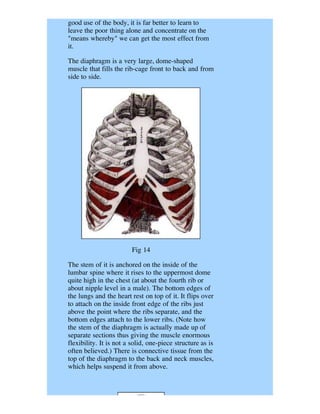 good use of the body, it is far better to learn to
leave the poor thing alone and concentrate on the
"means whereby" we can get the most effect from
it.

The diaphragm is a very large, dome-shaped
muscle that fills the rib-cage front to back and from
side to side.




                         Fig 14

The stem of it is anchored on the inside of the
lumbar spine where it rises to the uppermost dome
quite high in the chest (at about the fourth rib or
about nipple level in a male). The bottom edges of
the lungs and the heart rest on top of it. It flips over
to attach on the inside front edge of the ribs just
above the point where the ribs separate, and the
bottom edges attach to the lower ribs. (Note how
the stem of the diaphragm is actually made up of
separate sections thus giving the muscle enormous
flexibility. It is not a solid, one-piece structure as is
often believed.) There is connective tissue from the
top of the diaphragm to the back and neck muscles,
which helps suspend it from above.
 
