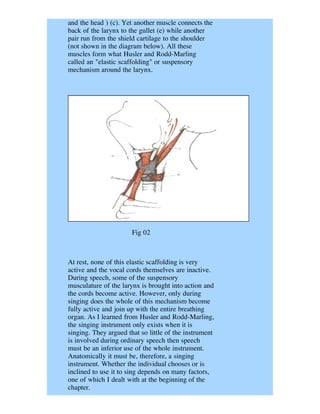 and the head ) (c). Yet another muscle connects the
back of the larynx to the gullet (e) while another
pair run from the shield cartilage to the shoulder
(not shown in the diagram below). All these
muscles form what Husler and Rodd-Marling
called an "elastic scaffolding" or suspensory
mechanism around the larynx.




                       Fig 02



At rest, none of this elastic scaffolding is very
active and the vocal cords themselves are inactive.
During speech, some of the suspensory
musculature of the larynx is brought into action and
the cords become active. However, only during
singing does the whole of this mechanism become
fully active and join up with the entire breathing
organ. As I learned from Husler and Rodd-Marling,
the singing instrument only exists when it is
singing. They argued that so little of the instrument
is involved during ordinary speech then speech
must be an inferior use of the whole instrument.
Anatomically it must be, therefore, a singing
instrument. Whether the individual chooses or is
inclined to use it to sing depends on many factors,
one of which I dealt with at the beginning of the
chapter.
 
