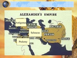 Antigonus

Seleucus

Ptolemy

 