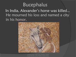 In India, Alexander’s horse was killed…
He mourned his loss and named a city
in his honor.
Bucephalus
Comenius Project -Space Teds Adventures Around
Europe-Dimotiko sxoleio Dispiliou kastoria Greece
 