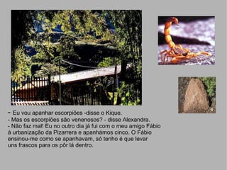 -  Eu vou apanhar escorpiões -disse o Kique. - Mas os escorpiões são venenosos? - disse Alexandra. - Não faz mal! Eu no outro dia já fui com o meu amigo Fábio à urbanização da Pizarrera e apanhámos cinco. O Fábio  ensinou-me como se apanhavam, só tenho é que levar uns frascos para os pôr lá dentro. 
