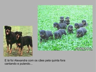 E lá foi Alexandra com os cães pela quinta fora  cantando e pulando...  