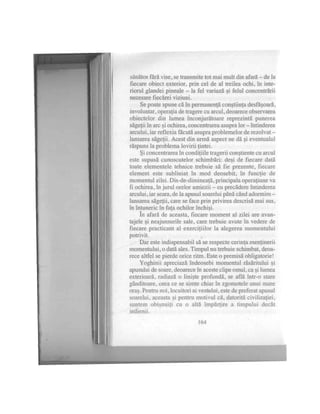 Alexandra mosneaga-vindecarea-psi