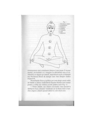 Alexandra mosneaga-vindecarea-psi