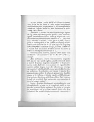 Alexandra mosneaga-vindecarea-psi