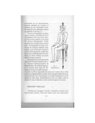 Alexandra mosneaga-vindecarea-psi