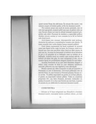 Alexandra mosneaga-vindecarea-psi