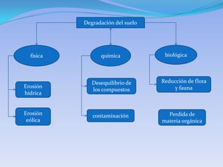 Degradación del suelo




  física         química            biológica




              Desequilibrio de     Reducción de flora
Erosión                                 y fauna
              los compuestos
hídrica


Erosión       contaminación          Perdida de
 eólica                            materia orgánica
 
