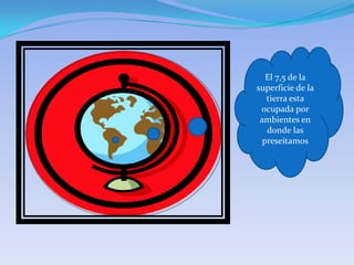 El 7,5 de la
superficie de la
   tierra esta
 ocupada por
 ambientes en
   donde las
  preseítamos
 
