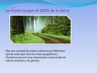 Las flores ocupas el 100% de la tierra




Hay una variedad de suelos cubiertos por diferentes
tipo de suelo que tiene las zonas geográficas y
climáticas que son muy importantes como medio de
vida de animales y las plantas
 