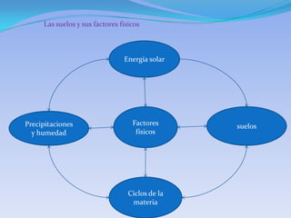 Las suelos y sus factores físicos



                                Energía solar




Precipitaciones                    Factores      suelos
  y humedad                         físicos




                                  Ciclos de la
                                   materia
 