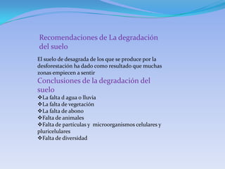Recomendaciones de La degradación
del suelo
El suelo de desagrada de los que se produce por la
desforestación ha dado como resultado que muchas
zonas empiecen a sentir
Conclusiones de la degradación del
suelo
La falta d agua o lluvia
La falta de vegetación
La falta de abono
Falta de animales
Falta de partículas y microorganismos celulares y
pluricelulares
Falta de diversidad
 