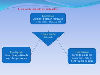 El suelo esta formado por materiales:

                                 Fase solida
                         Contiene humus y minerales
                           como arena, arcilla y cal



                                 Composición
                                   del suelo




     Fase liquida                                          Fase gaseosa
Presenta agua filtrada                                  parecida al aire con
 entre las partículas                                  mayor contenido de
                                                       CO2 y vapor de agua
 
