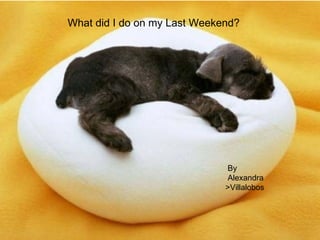 What did I do on my Last Weekend? By Alexandra  >Villalobos 