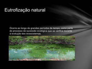 Eutrofização natural
Ocorre ao longo de grandes períodos de tempo, como parte
do processo de sucessão ecológica que se verifica durante
a evolução dos ecossistemas.
 