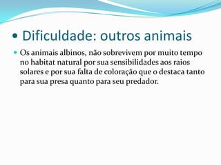 • Dificuldade: outros animaisOs animais albinos, não sobrevivem por muito tempo no habitat natural por sua sensibilidades aos raios solares e por sua falta de coloração que o destaca tanto para sua presa quanto para seu predador.