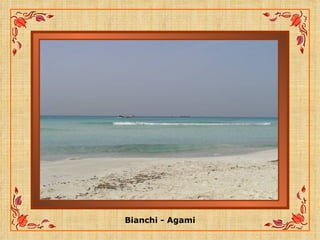 Bianchi - Agami 