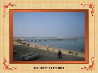 Sidi-Bishr #3 (Miami) 