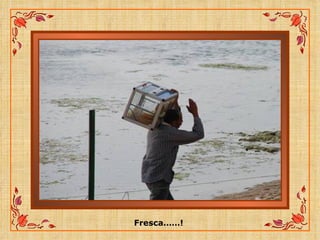 Fresca……!  