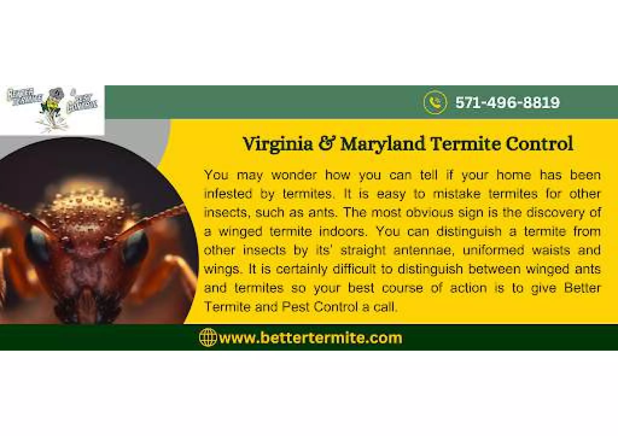 Alexandria pest control PPT