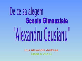 Rus Alexandra Andreea
Clasa a VI-a C
 