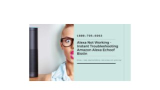 Alexa Not Working Solved 1-8007956963 Alexa Helpline Number