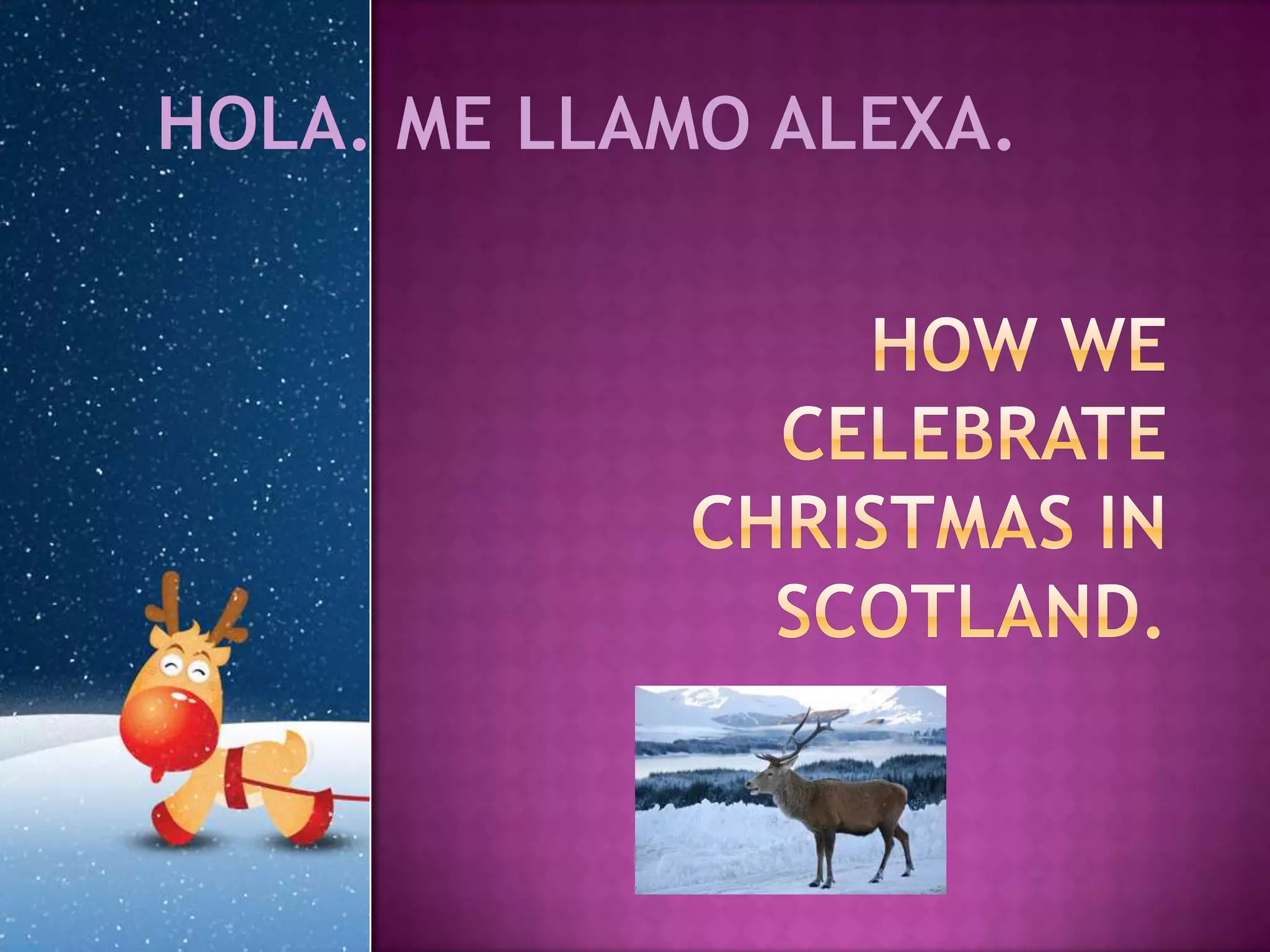 Alexa Odell How We Celebrate Christmas In Scotland PPT alexa-odell-how-we-celebrate-christmas-in-scotland-ppt